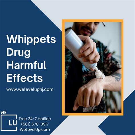 What Are Whippets Like Drug
