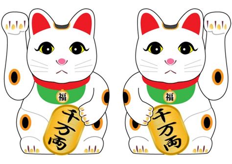 Image result for Library Lo Code