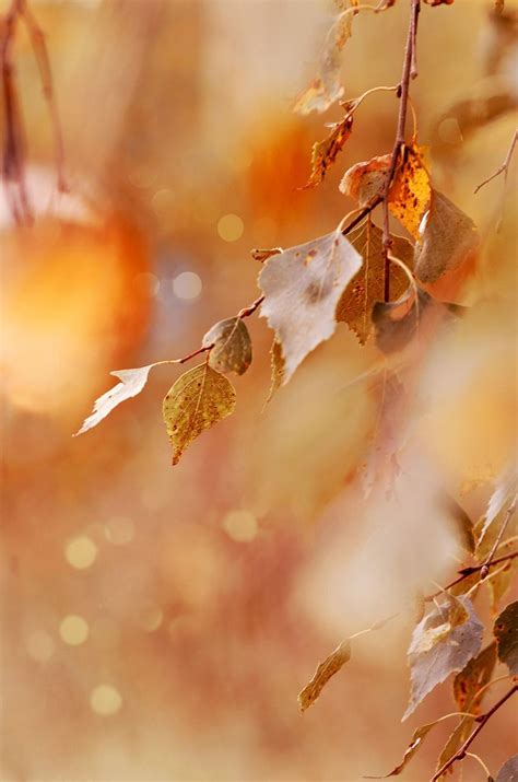 Autumn Equinox Service, Saint Margaret's Episcopal Church, Carrollton ...