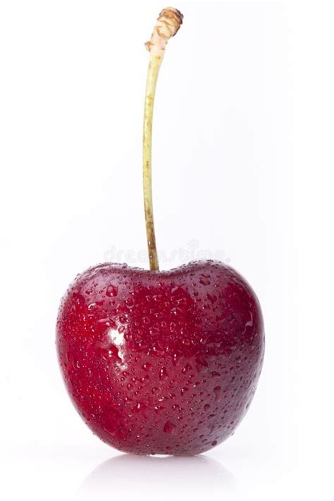 red cherry PNG image, free download transparent image download, size ...