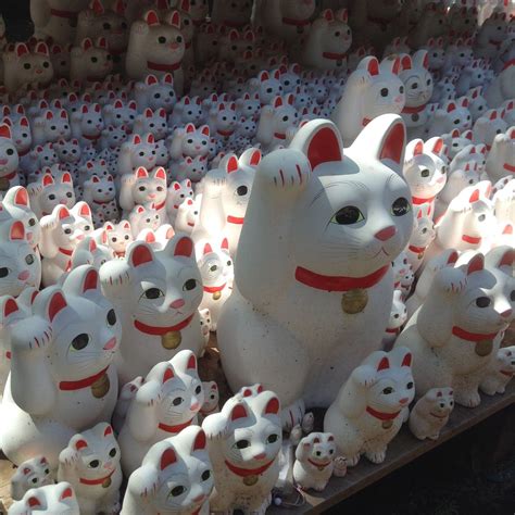 Maneki Neko 'lucky cat' statues at Gohtokuji, Tokyo | Maneki neko, Japan honeymoon, Geisha japan