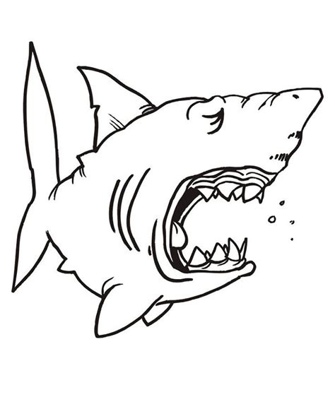 Sleeping shark - Shark Coloring Pages