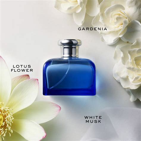 Ralph Lauren Perfume Blue