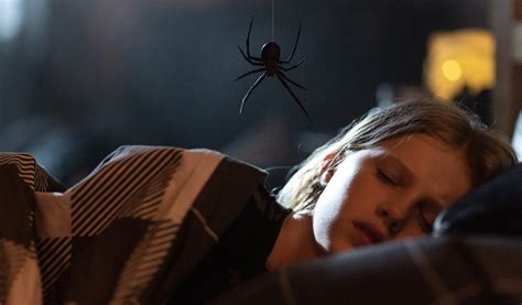 StudioCanal Buys Spider Horror ‘Sting’ as First Image Revealed