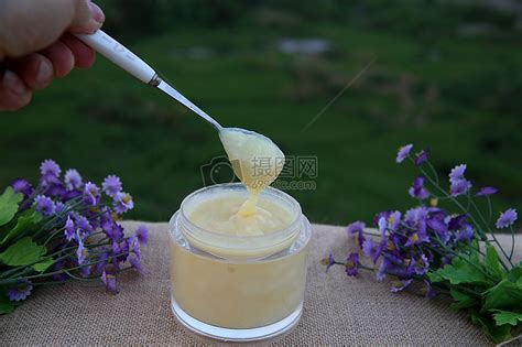 蜂王浆的作用与功效及食用方法 - 蜂王浆 - 酷蜜蜂