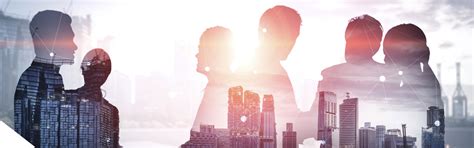 About Us – Plurimo