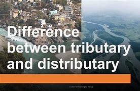 Image result for distributary