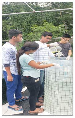 AIT Aquaculture | The Aquaculture program of Asian Institute of ...