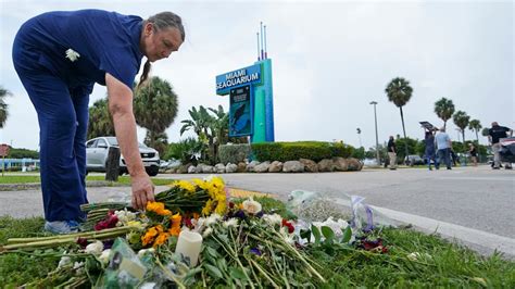 Miami Seaquarium’s Lolita the orca died from old age and multiple ...