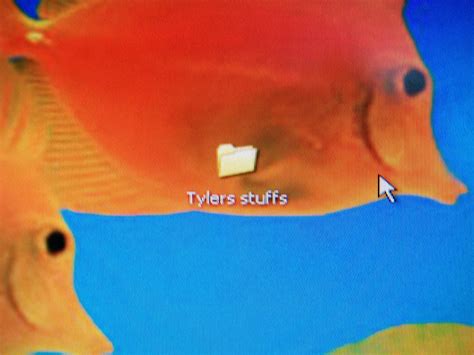 Funny Computer Virus Pranks 的图像结果