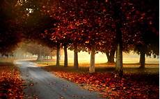 Rustic Country Fall Backgrounds by Fall Hd Wallpaper Background Image 1920x1200 Id Rustic Country Fall Backgrounds