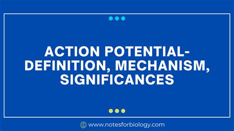 Action Potential Explained 的图像结果