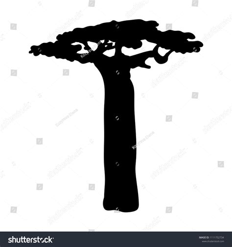Baobab Tree Silhouette