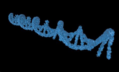RNA Model 的图像结果