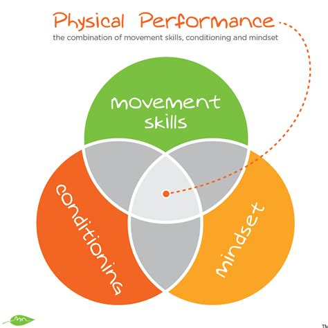 Fitness VS Movement: Science Shows Quality Training Matters - MovNat ...
