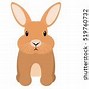 Image result for Cutest Pic of a Bunny