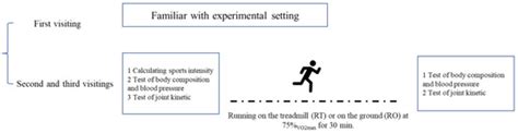 Influence of Running Surface Differences on Physiological and ...