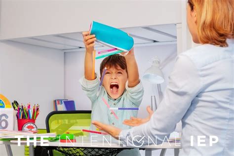 Image result for Function of Behavior Examples Video