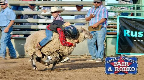 Things to Do This Weekend in New Braunfels