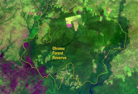 Before-And-After Pictures Of Natural & Man-Made Disasters & Their ...