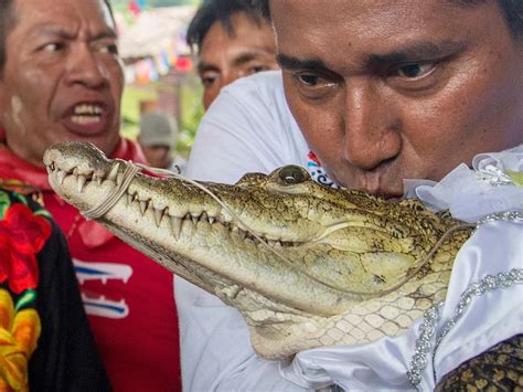 AMBIL SEKARANG