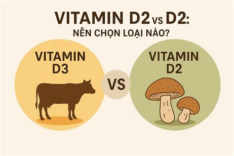 Vitamin D3 vs D2: Nên chọn loại nào? Dẫn chứng khoa học cụ thể - Altawell