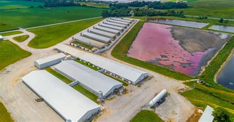 Factory Farming 的图像结果