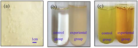 Minerals | December 2018 - Browse Articles