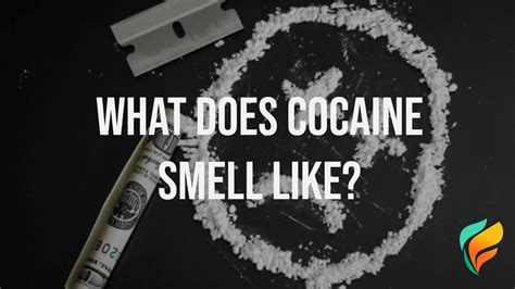What Does Cocaine Smell Like