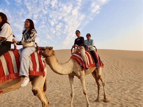 Camel Ride Dubai 2026 - Aventura supremă în deșert