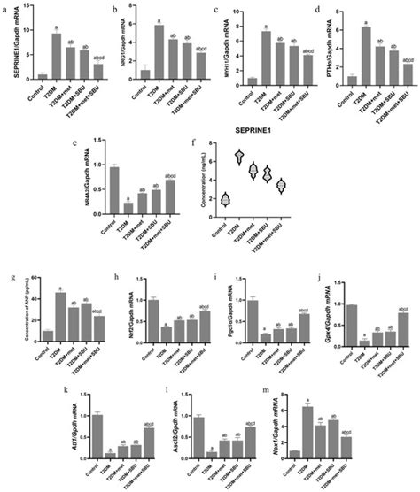 Mitigating Diabetic Cardiomyopathy: The Synergistic Potential of Sea ...