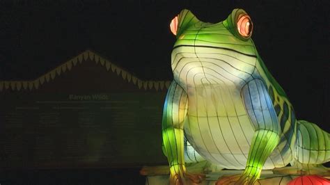 Illuminate the holidays with Seattle's magical, animal-filled Wild ...