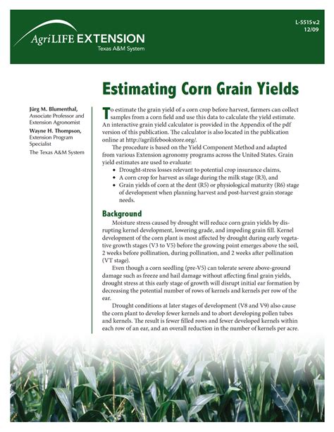 Estimating Corn Grain Yields | Publications | AgriLife Learn