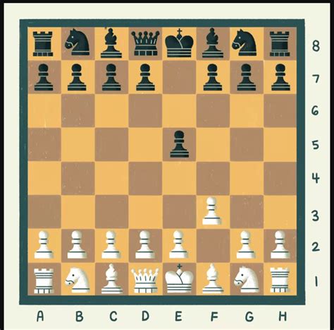 Fast Checkmate 的图像结果