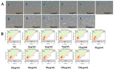 Identification of the Immediate-Early Genes of Cyprinid Herpesvirus 2