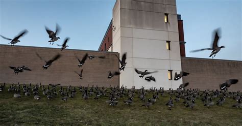 Here Are Some Quick Fixes for the Crisis at Oregon State Hospital