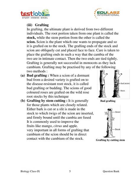 Image result for Vegetative Reproduction Daily Examples