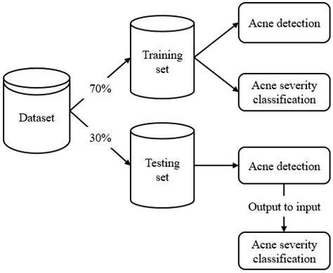 Automatic Acne Object Detection and Acne Severity Grading Using ...