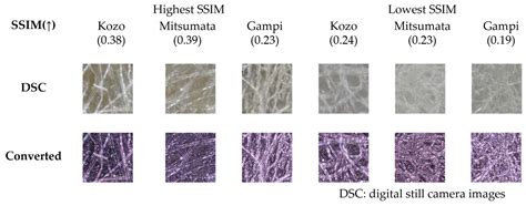 CycleGAN-Based Translation of Digital Camera Images into Confocal-like ...