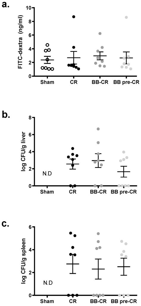 Effects of Bifidobacterium bifidum in Mice Infected with Citrobacter ...