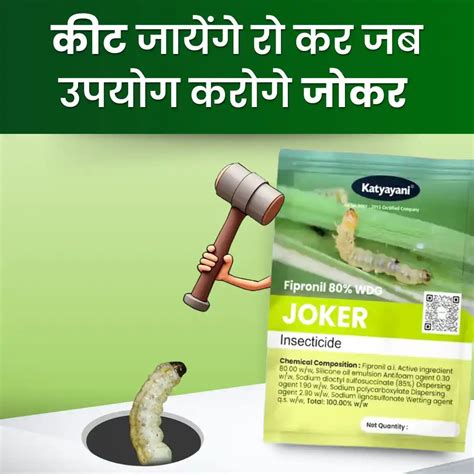 Buy Fipronil Insecticide 80 WG – Best for Cotton Whitefly