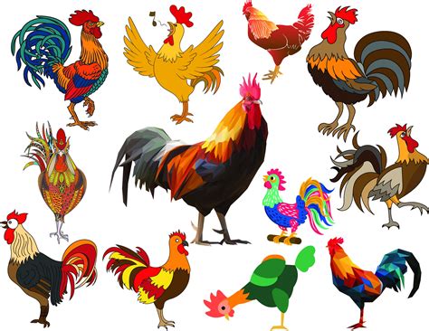 Rooster Clipart Chicken PNG Watercolor Clip Art Farm Bird - Etsy