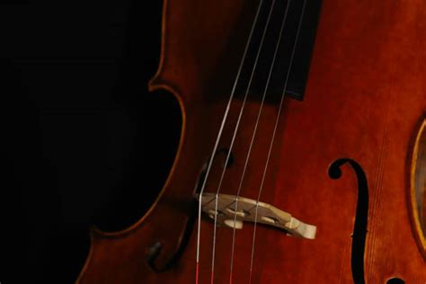 Image result for String Instruments Cello