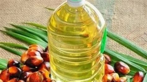 Govt Begins Inspection Drive To Curb Hoarding Of Edible Oils, Oilseeds ...