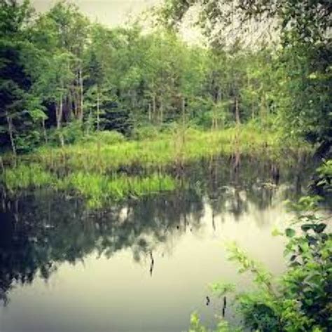 Shubie Park, dartmouth, Canada - Top Attractions, Things to Do ...