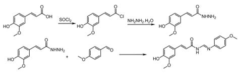 Tailored Functionalization of Natural Phenols to Improve Biological ...