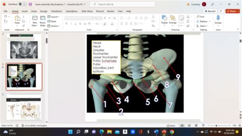 Lower Extremity Exam 的图像结果