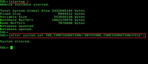 Image result for Transparent Data Encryption Oracle Database Key Management Framework
