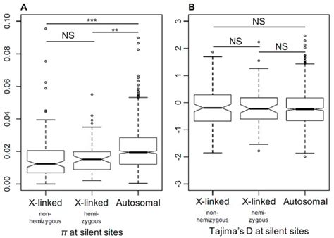 A Comparison of Selective Pressures in Plant X-Linked and Autosomal Genes