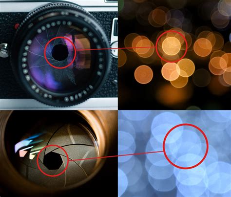 What is Portrait Photography? - Photography Project